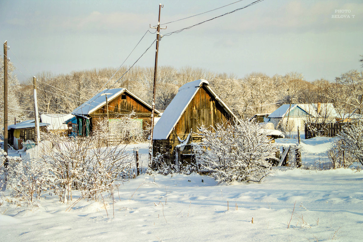 зимнее утро в деревне - Tatyana Belova