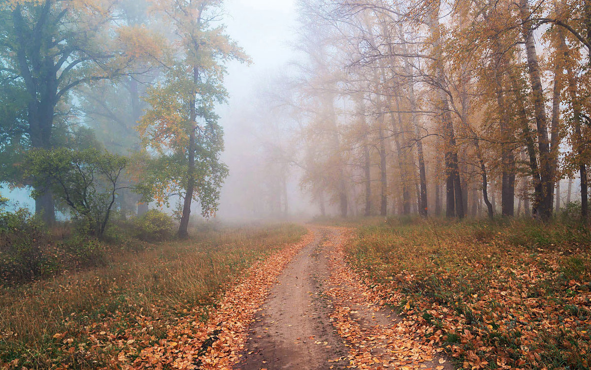 Осенний туман - Любовь Потеряхина