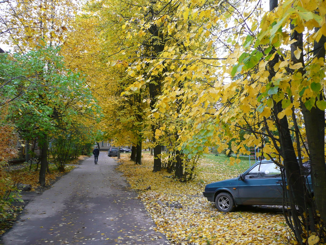 Осень - Владимир Холодницкий