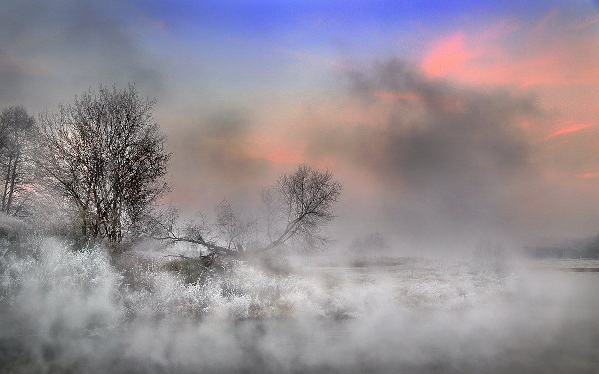 Туманный закат ноября... - Андрей Войцехов