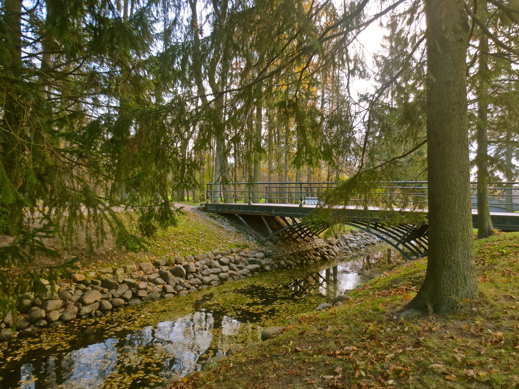 в Екатерининском парке - Елена 