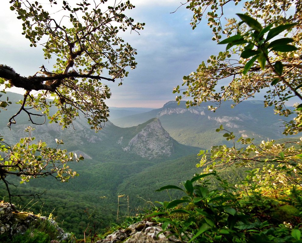 В лучах заката - Александр Шмелёв