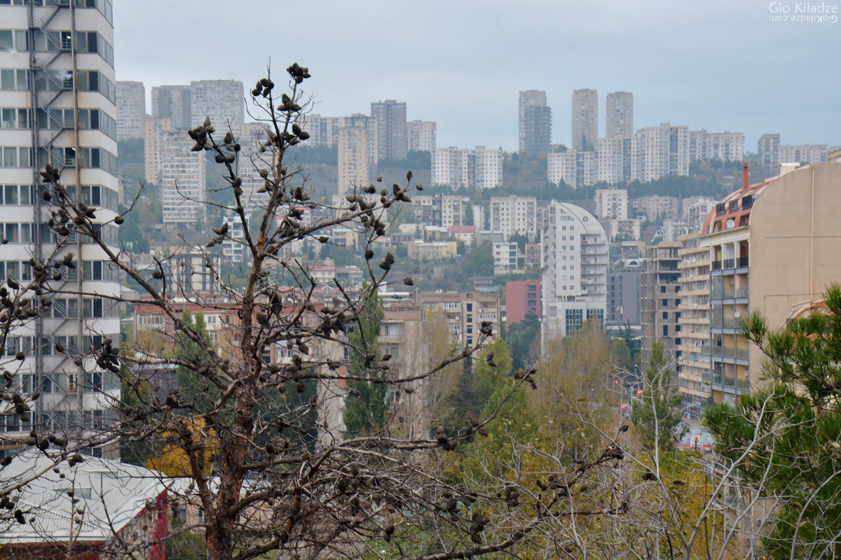 Tbilisi - Gio Kiladze