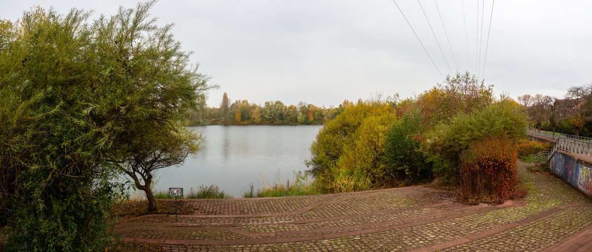 В южном парке, Дюссельдорф, осень, ноябрь, озеро - Witalij Loewin