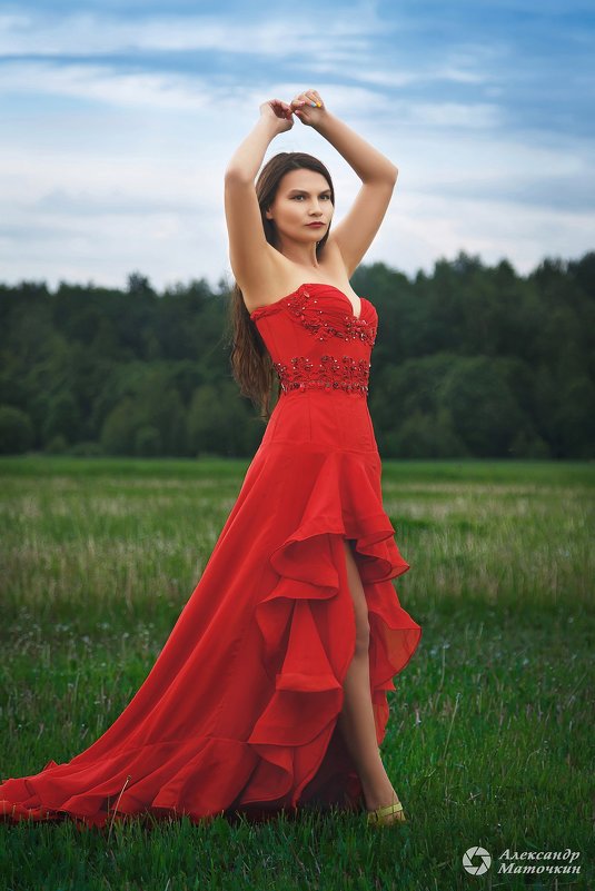 Девушка в вечернем платье - Александр Маточкин