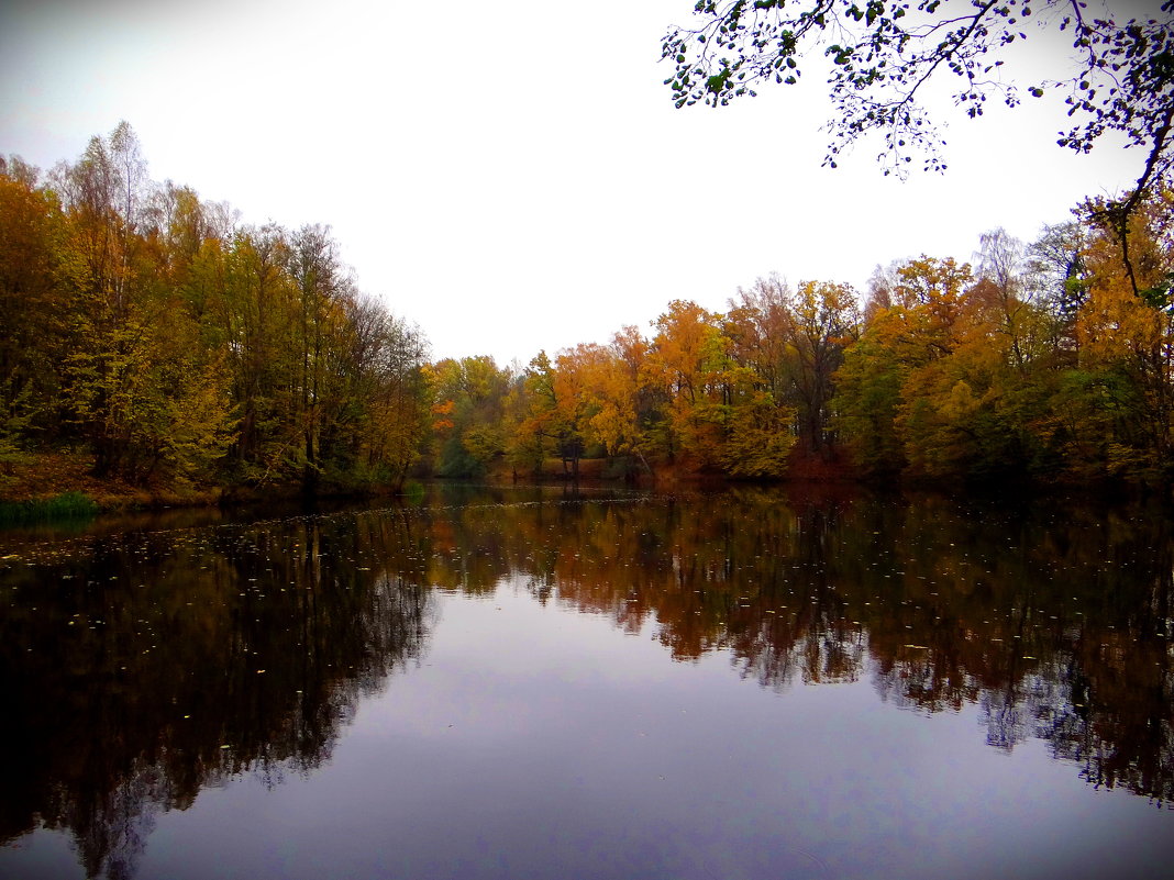 Осенний пейзаж.. - Антонина Гугаева