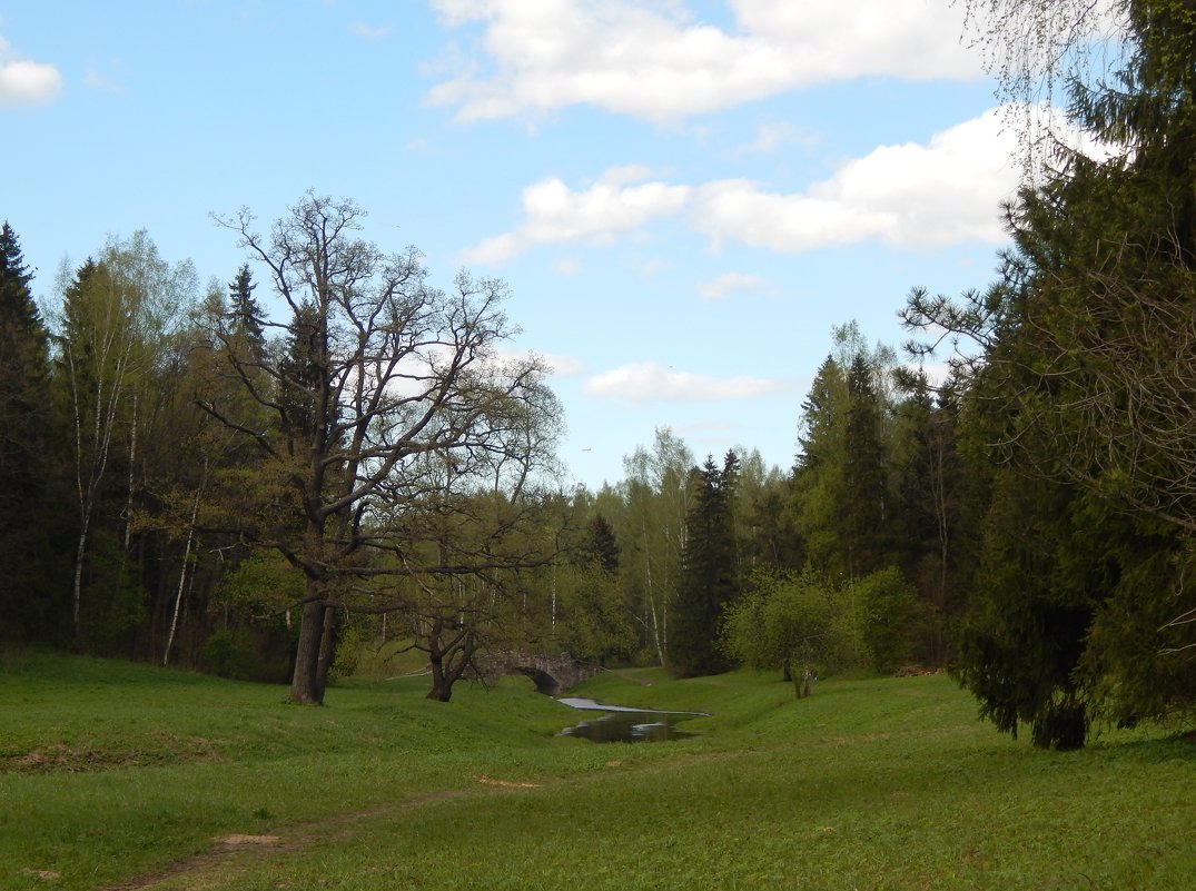 Павловск весной. - Лариса (Phinikia) Двойникова