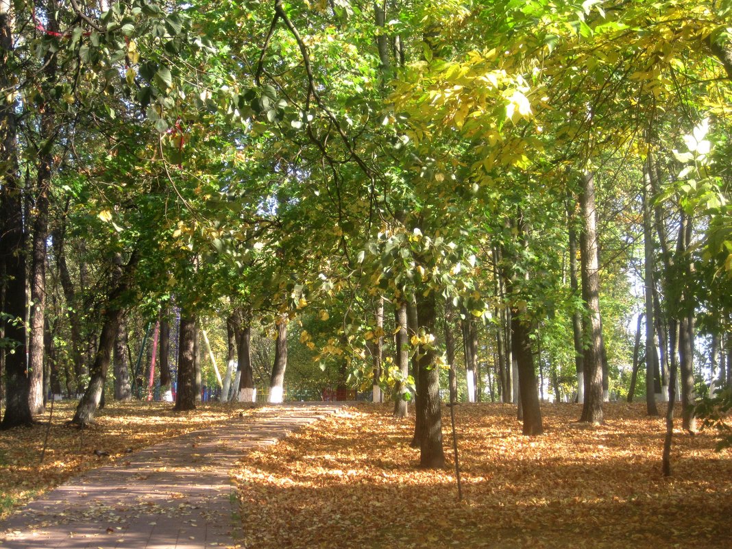 Осенью в парке - Елена Семигина