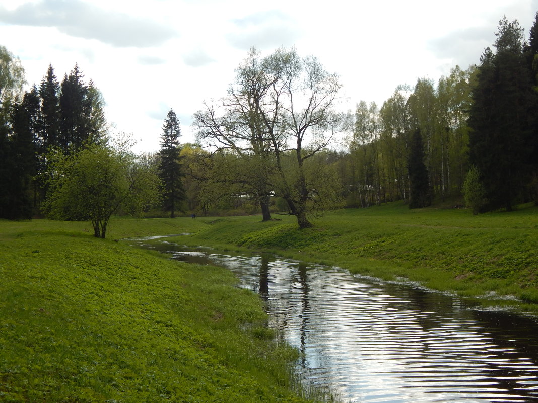 Павловск весной. - Лариса (Phinikia) Двойникова