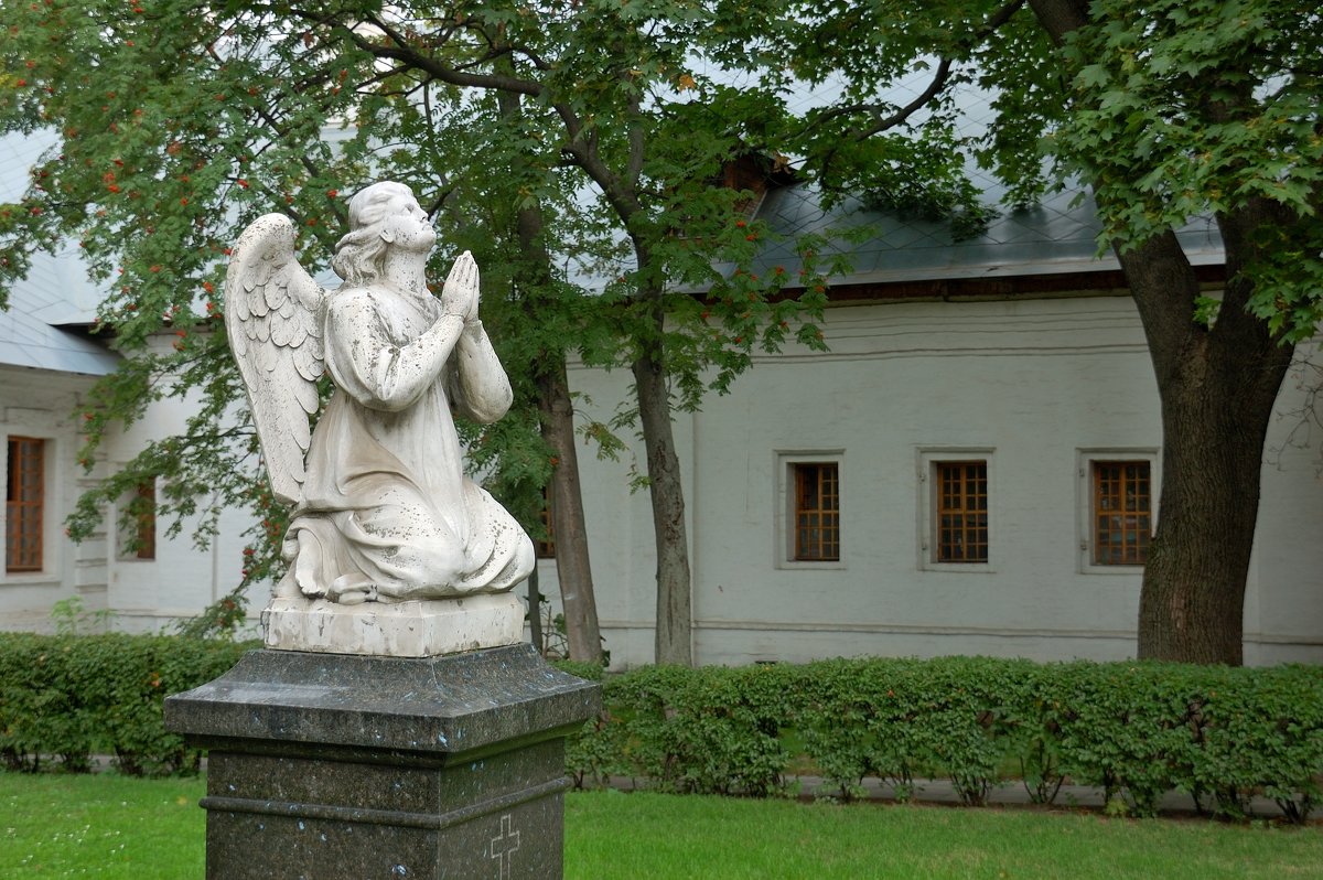 Молящийся ангел - Константин Поляков