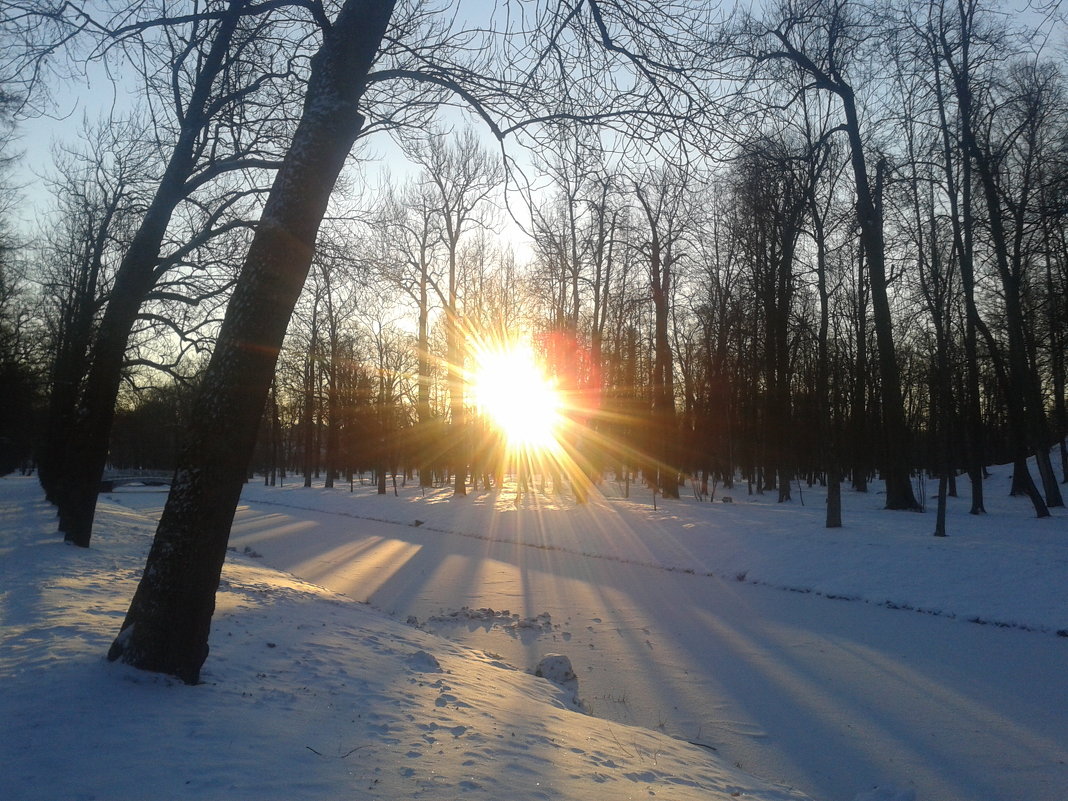 Зимнее утро - Сапсан 