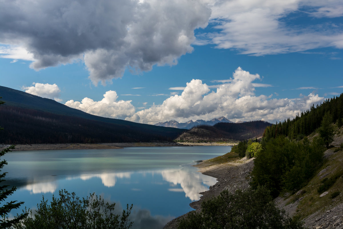 Medicine lake - Константин Шабалин