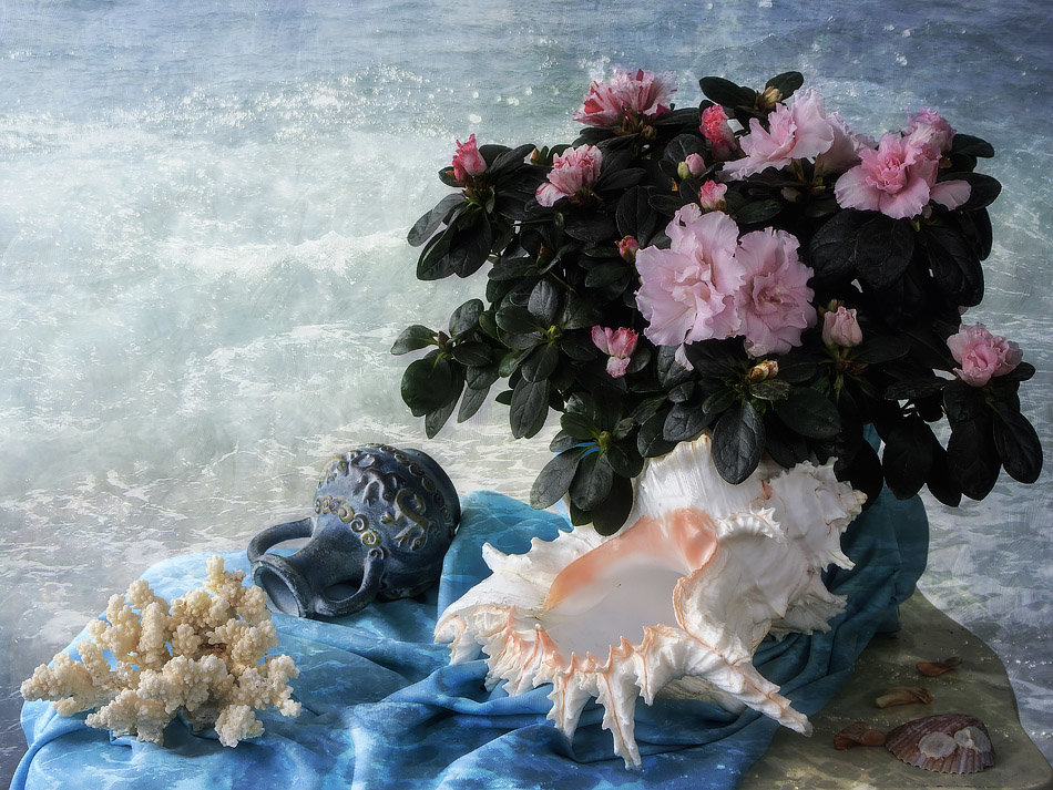 Из серии Я мечтала о морях и кораллах - Ирина Приходько