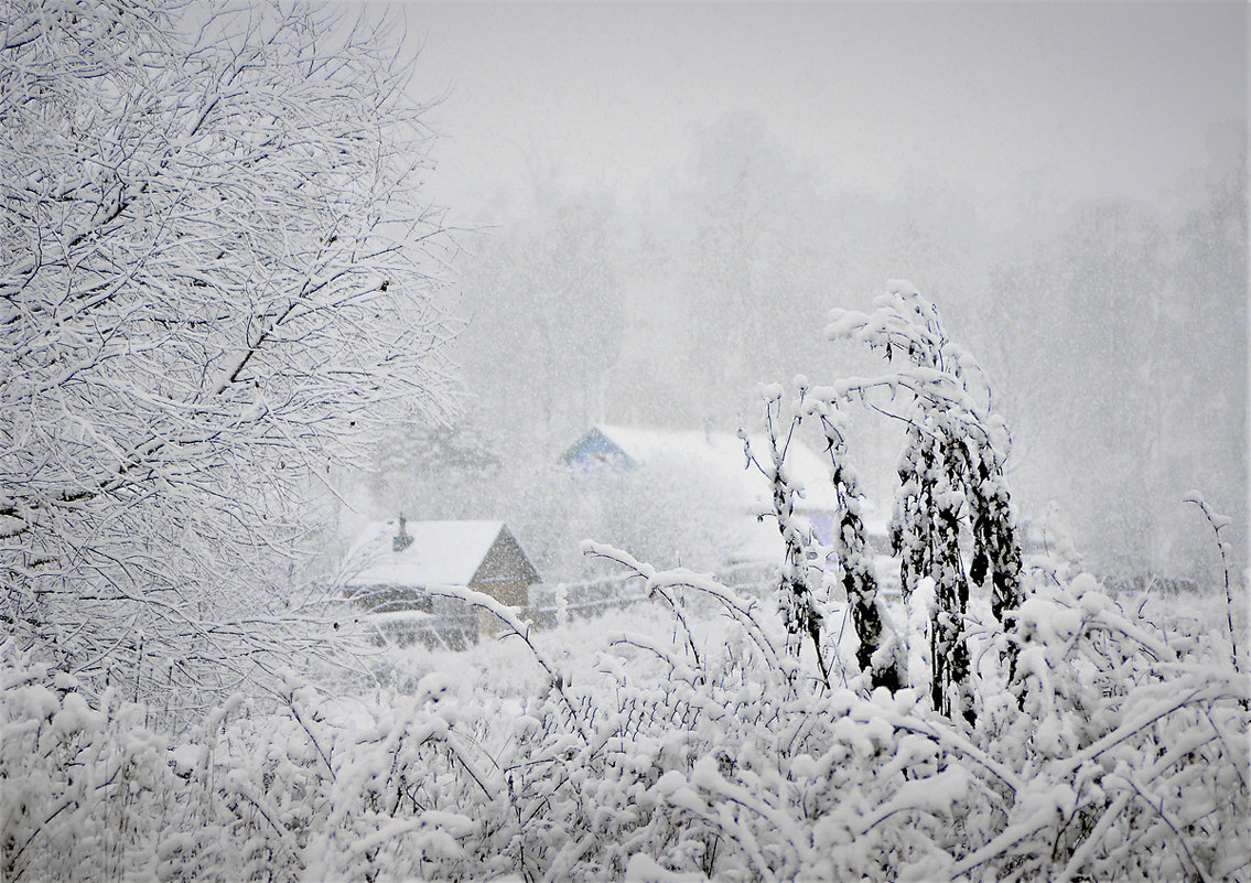 Снегопад в Молочном - Валерий Талашов