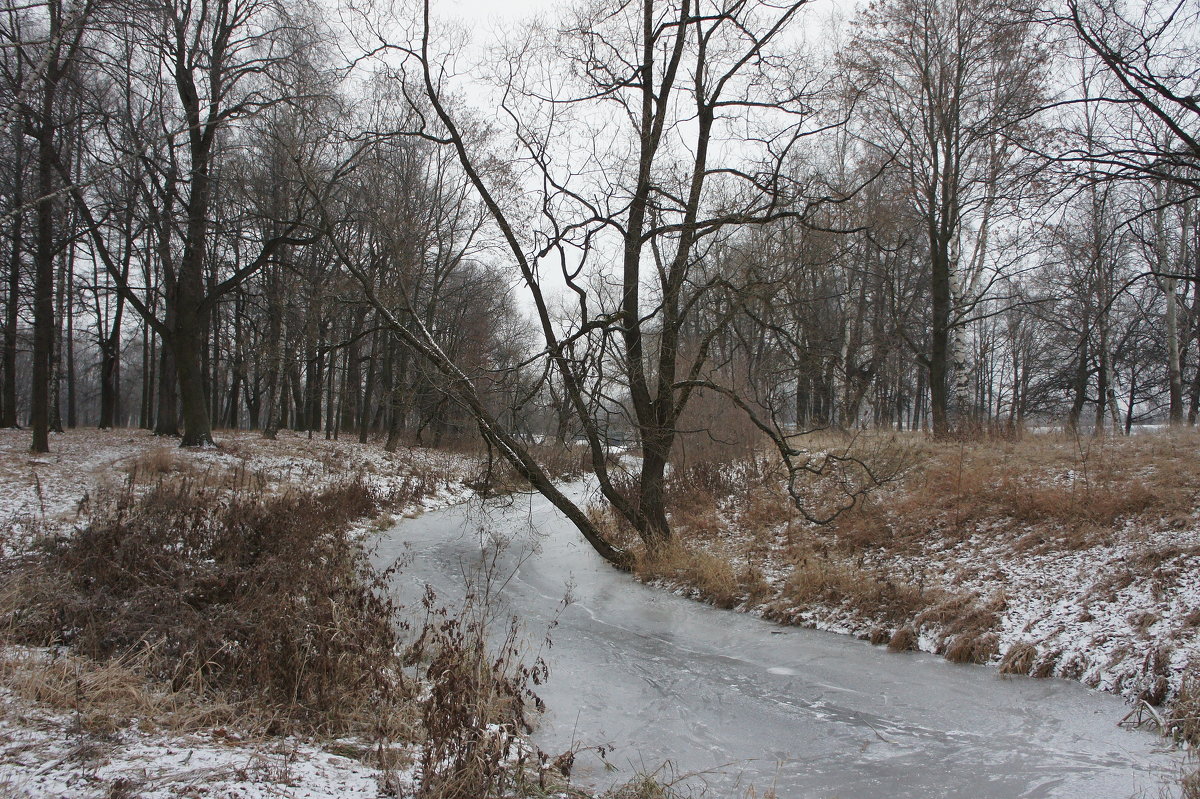 В Орловском парке. Остров любви (справа) - Елена Павлова (Смолова)