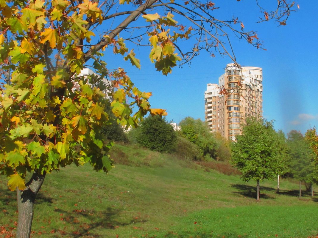 Осень. - Александр Атаулин