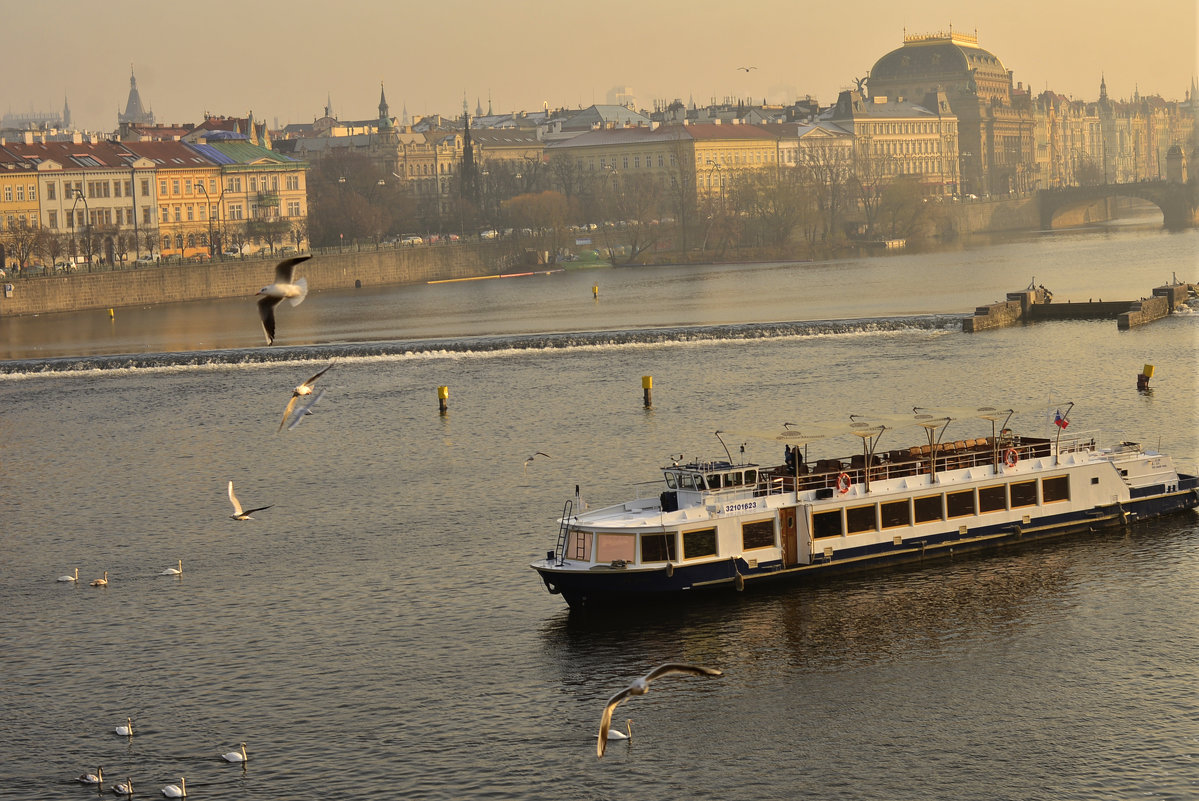 Praha - Nina sofronova