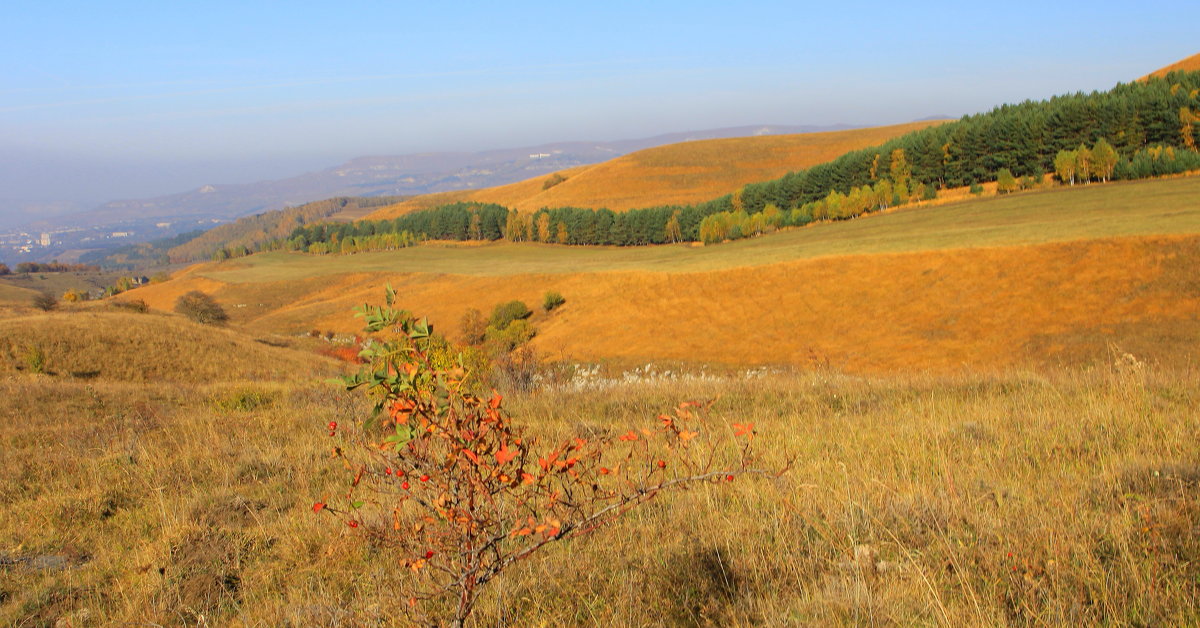 Золотая осень в окрестностях Кисловодска - Vladimir 070549 