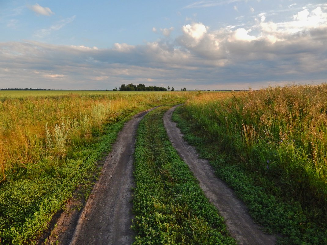 Равнинная дорога