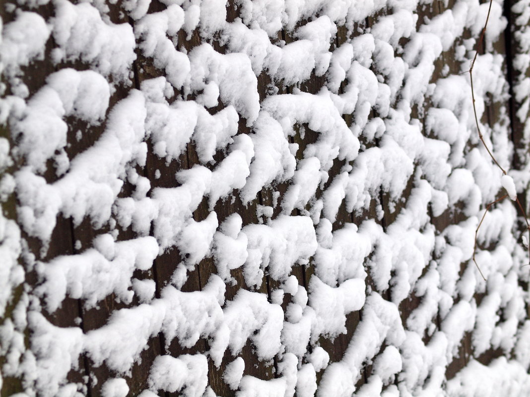 Snowy fence - Олег Шендерюк