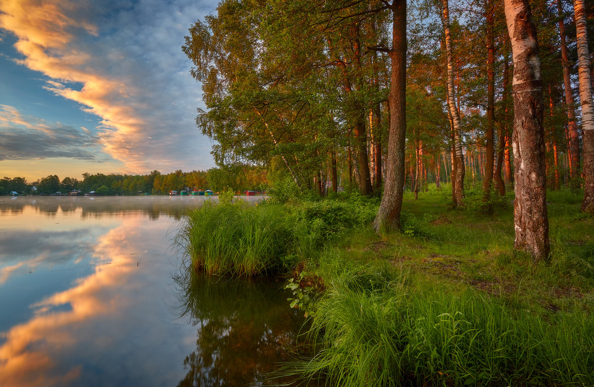 Природа Владимирской области лето