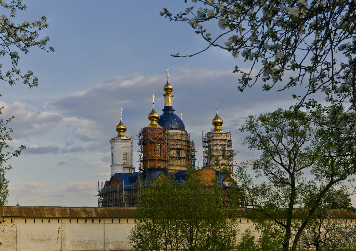 Купола Свенского монастыря - Александр Березуцкий (nevant60)
