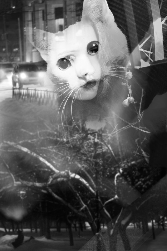 Женщина-кошка - Елена Бушуева