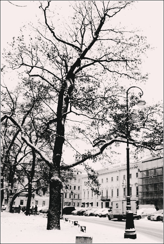 Дерево - Galina Belugina