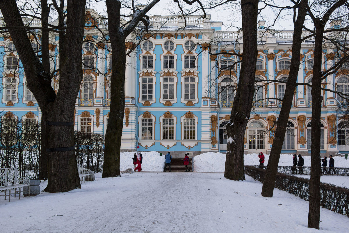 В зимнем парке - Aнна Зарубина