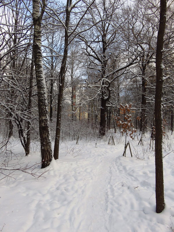 В Москве - зима - Андрей Лукьянов