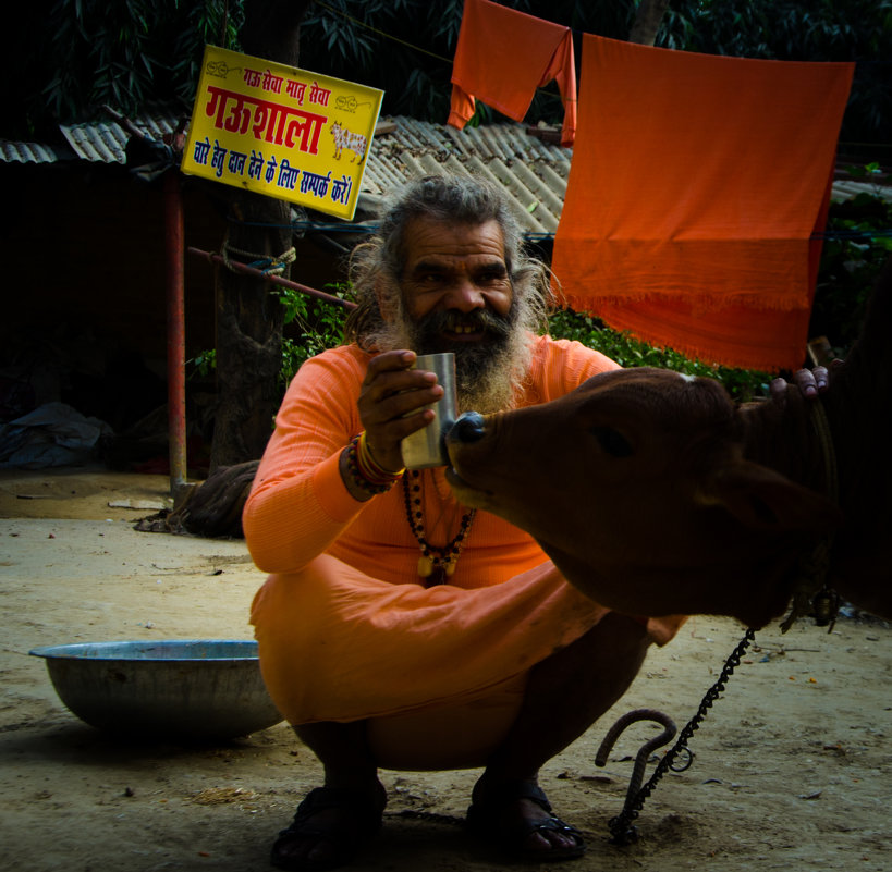 Free - The heirs of Old Delhi Rain