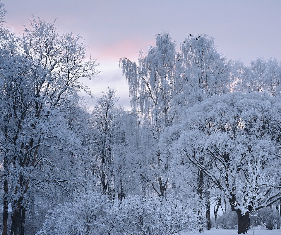 Зима-зима - Наталия П