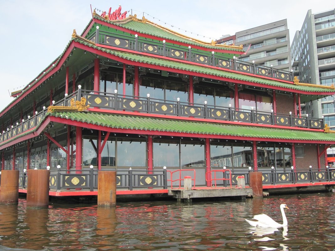 Амстердам. Китайский ресторан на воде. Лебедя пока не съели! - ponsv 