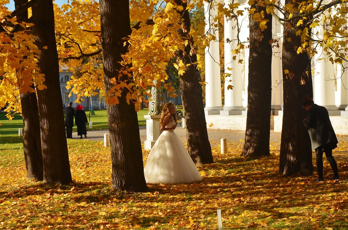 Невеста посреди золотого листопада... - Sergey Gordoff