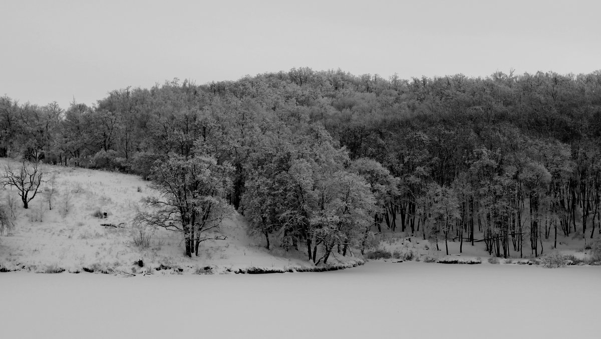Зимний лес на берегу замерзшего озера. - Ильгам Кильдеев