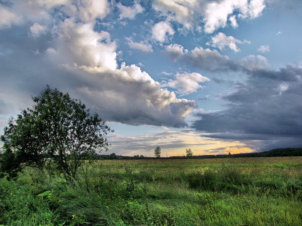 ТУЧИ - Лара Симонова 