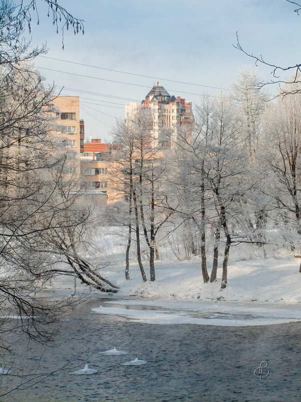 Зимний пригород 11 - Виталий 