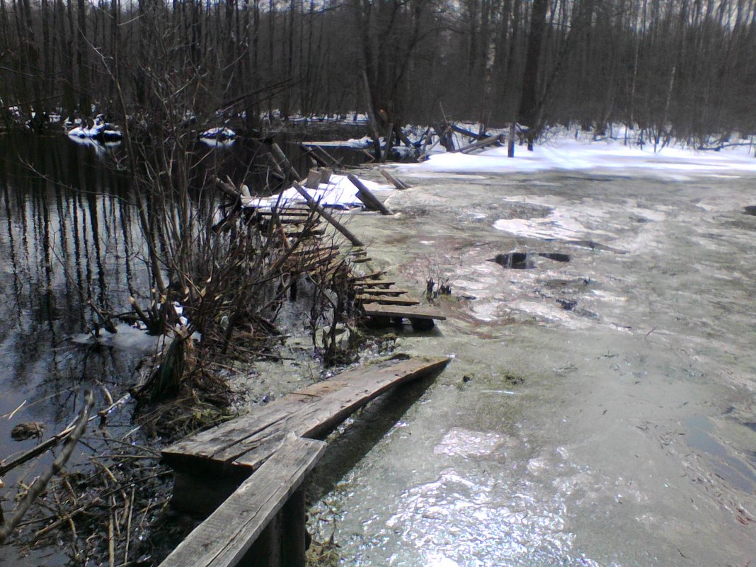 Мост между зимой и весной - Виктор Мухин