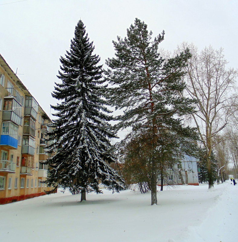 Зима в городе. - Мила Бовкун