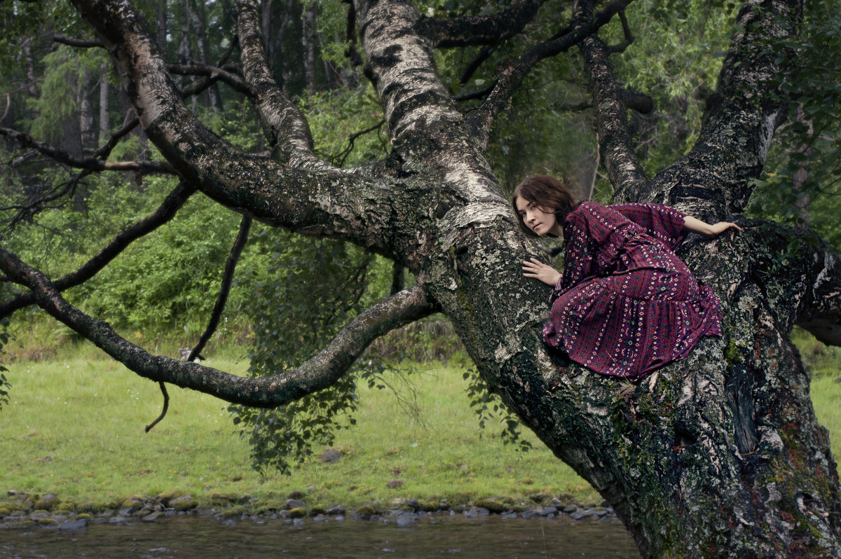 ведьмино дерево - Алиса Колмагорова