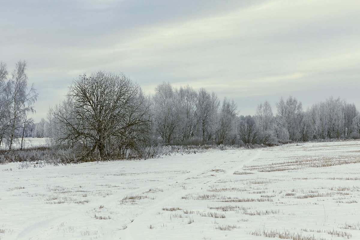 *** - Александр 