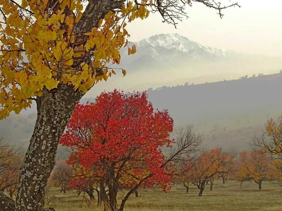 ПРОГУЛКА. - Виктор Осипчук