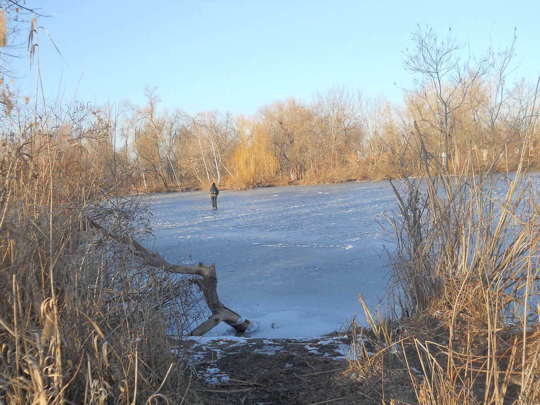 Застыли небольшие озёра, первые рыбаки вышли на молодой лёд - Галина Квасникова