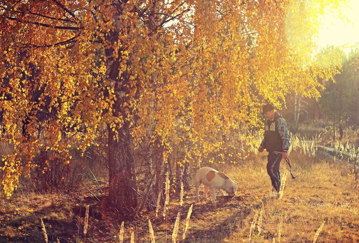 прогулка в осень - оксана 