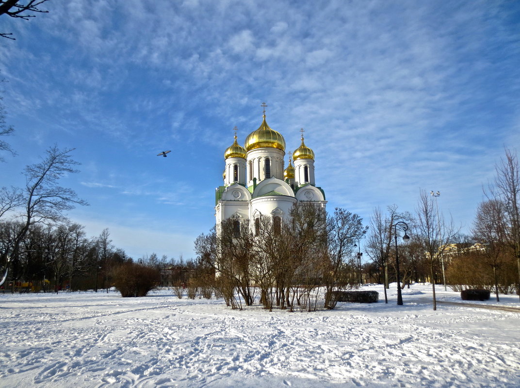 Софийский собор в Пушкине - Елена 
