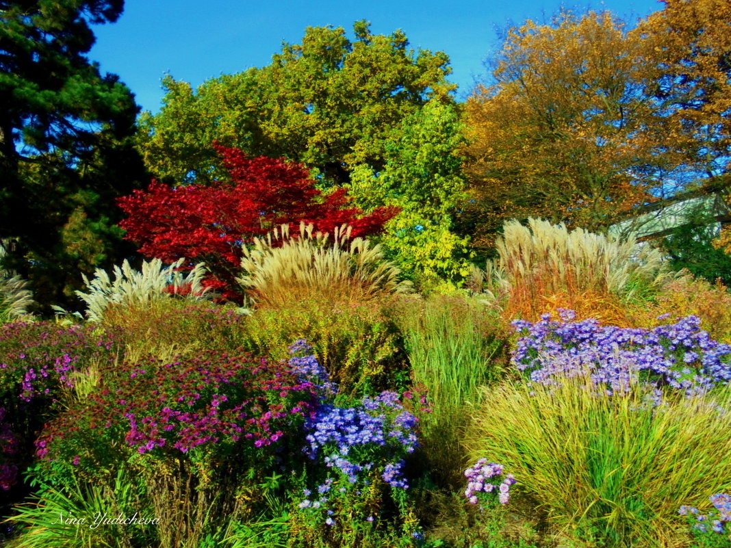 Planten un Blomen. Hamburg - Nina Yudicheva