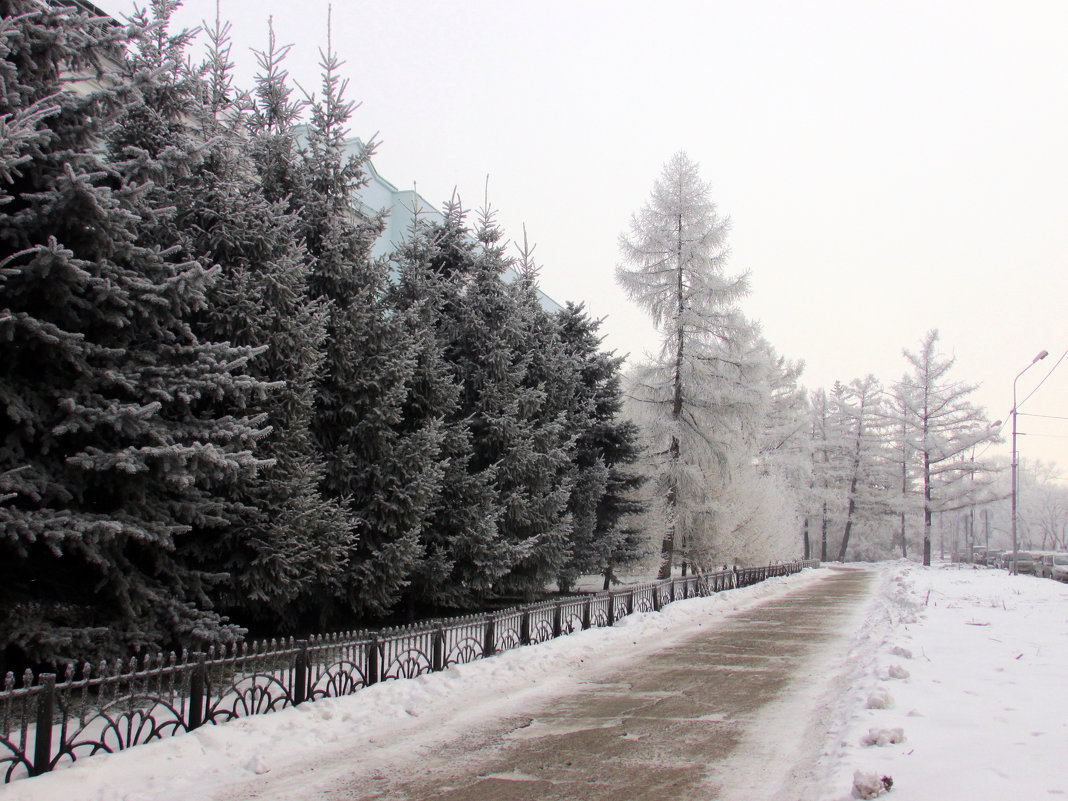 Зима в городе - раиса Орловская