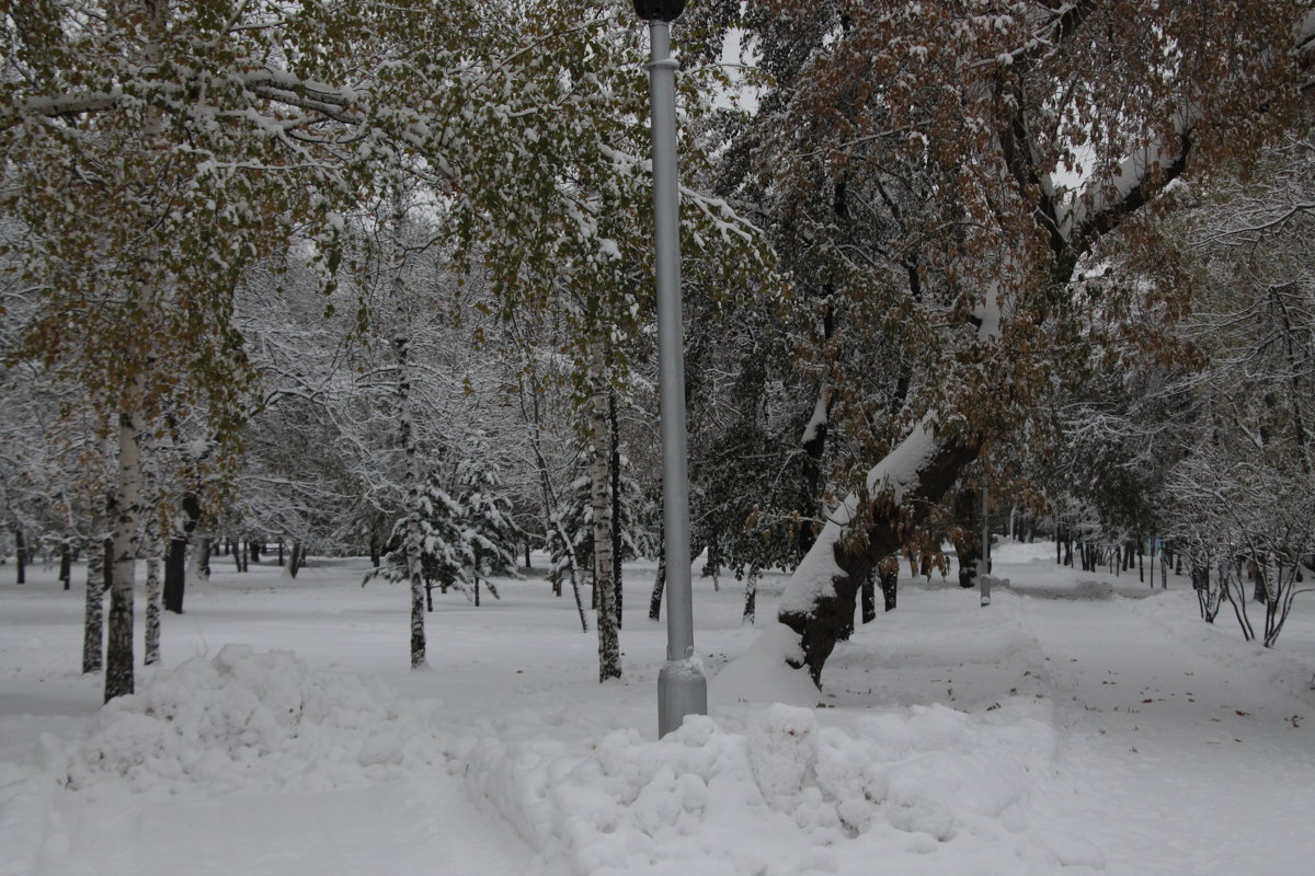 Новосибирск - Олег Афанасьевич Сергеев