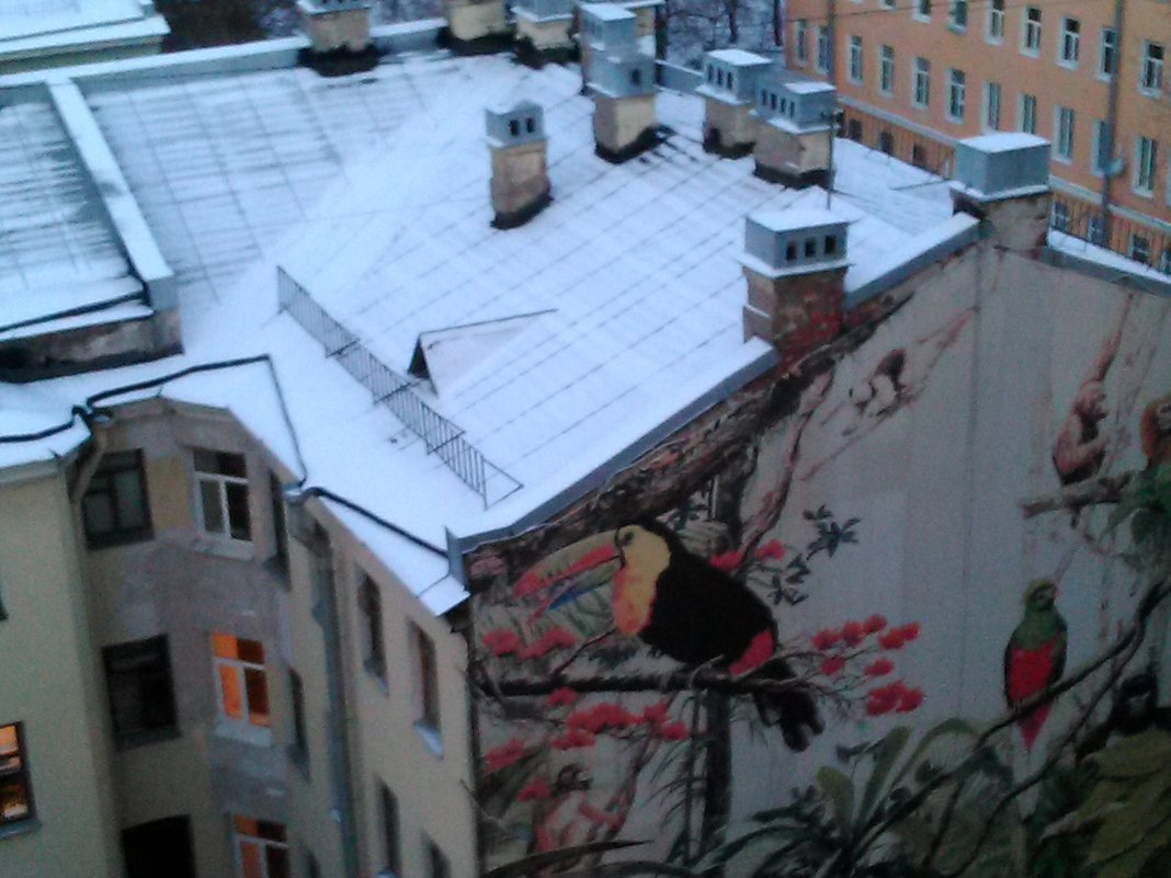Вид с крыши на расписную стену. (Лофт Проект ЭТАЖИ в СПб) - Светлана Калмыкова