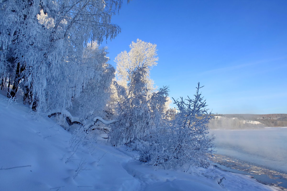 Кружевной лес - Галина 